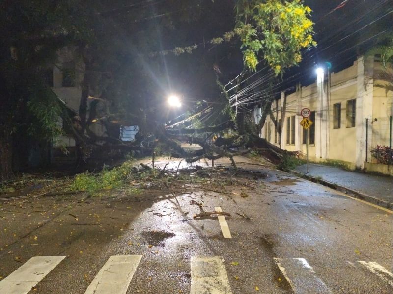 Chuva derruba árvores e alaga avenidas em Jundiaí