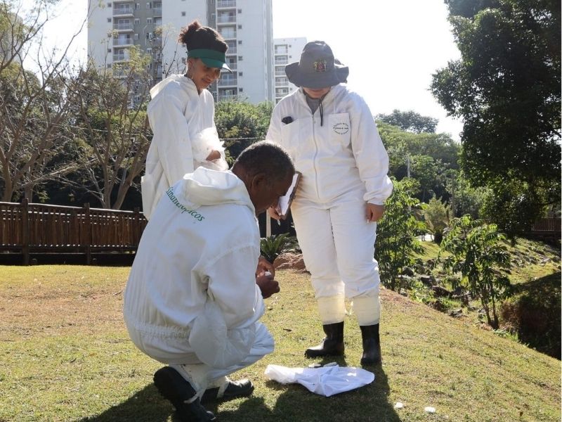 Jundiaí monitora carrapatos e alerta para risco de febre maculosa